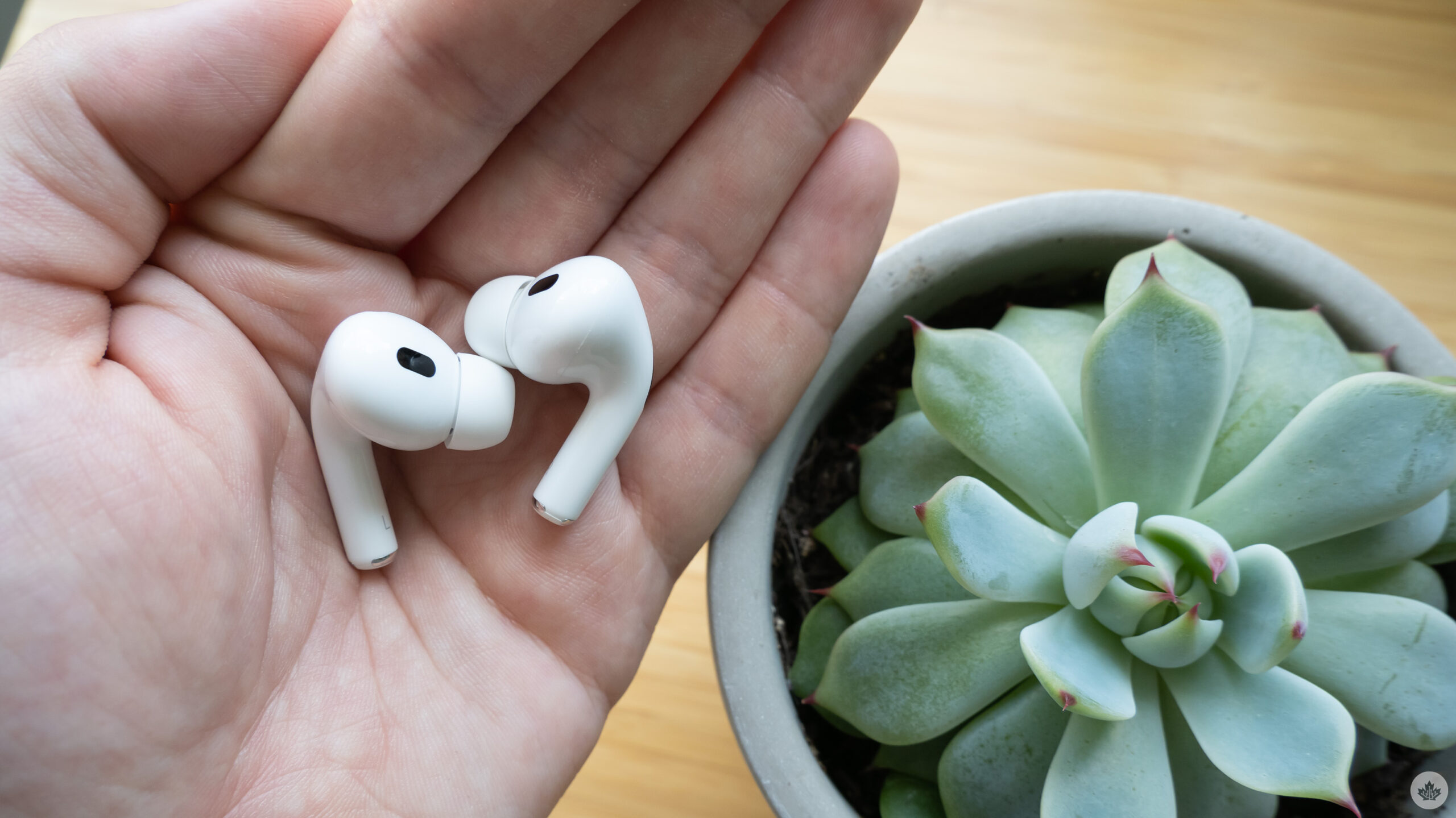 There could be three new AirPods models this fall